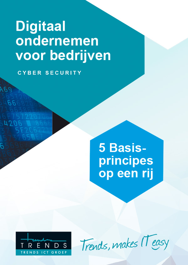 TRE_CYBERSECURITY-5 BASISPRINCIPES